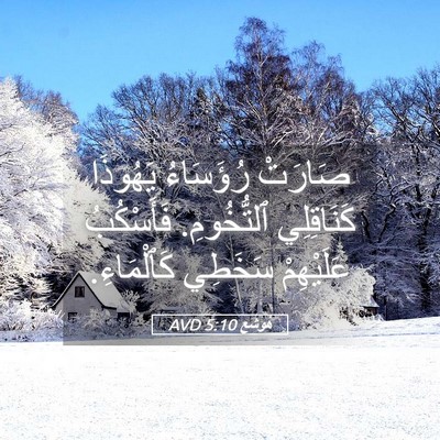 Picture 05 - هُوشَع 5:10 AVD - صَارَتْ رُؤَسَاءُ - Bible Verse Picture