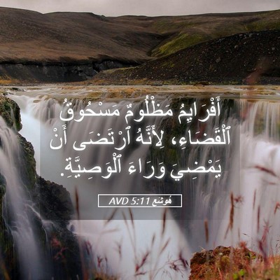 Picture 05 - هُوشَع 5:11 AVD - أَفْرَايِمُ مَظْلُومٌ - Bible Verse Picture