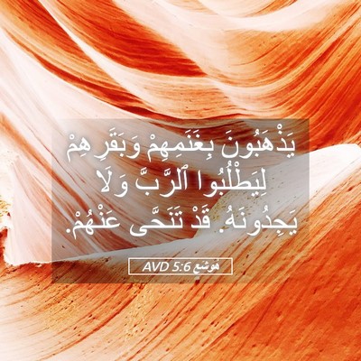 Picture 05 - هُوشَع 5:6 AVD - يَذْهَبُونَ بِغَنَمِهِمْ - Bible Verse Picture