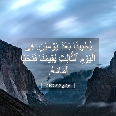 Picture 05 - هُوشَع 6:2 AVD - يُحْيِينَا بَعْدَ - Bible Verse Picture