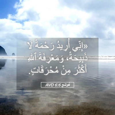 Picture 05 - هُوشَع 6:6 AVD - «إِنِّي أُرِيدُ رَحْمَةً - Bible Verse Picture