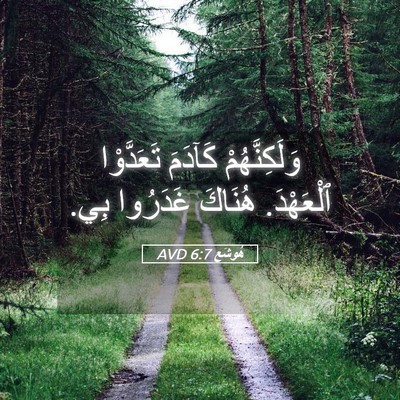 Picture 05 - هُوشَع 6:7 AVD - وَلَكِنَّهُمْ كَآدَمَ - Bible Verse Picture