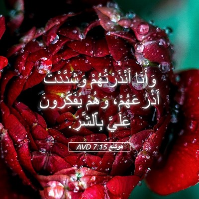Picture 05 - هُوشَع 7:15 AVD - وَأَنَا أَنْذَرْتُهُمْ - Bible Verse Picture