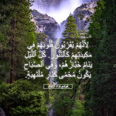 Picture 05 - هُوشَع 7:6 AVD - لِأَنَّهُمْ يُقَرِّبُونَ - Bible Verse Picture