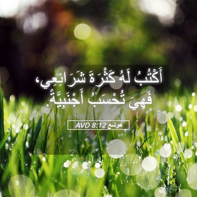 Picture 05 - هُوشَع 8:12 AVD - أَكْتُبُ لَهُ كَثْرَةَ - Bible Verse Picture