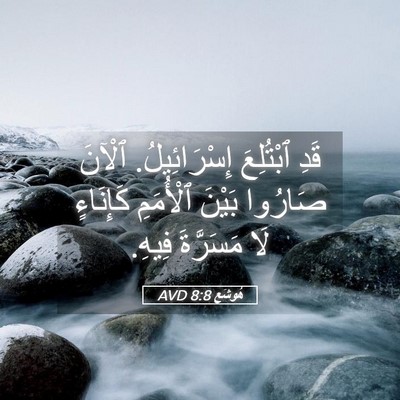 Picture 05 - هُوشَع 8:8 AVD - قَدِ ٱبْتُلِعَ - Bible Verse Picture