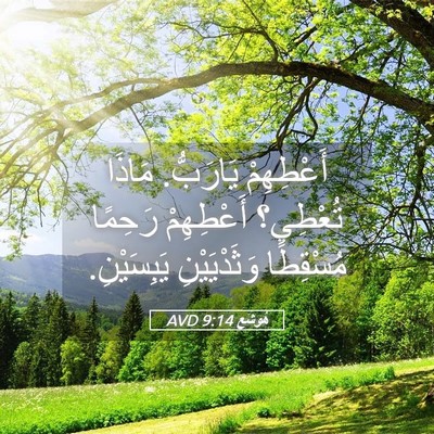 Picture 05 - هُوشَع 9:14 AVD - أَعْطِهِمْ يَارَبُّ. - Bible Verse Picture