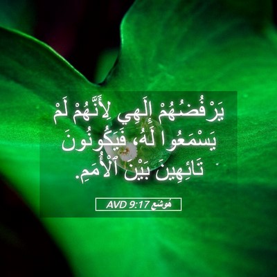 Picture 05 - هُوشَع 9:17 AVD - يَرْفُضُهُمْ إِلَهِي - Bible Verse Picture