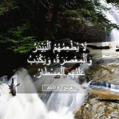 Picture 05 - هُوشَع 9:2 AVD - لَا يُطْعِمُهُمُ - Bible Verse Picture