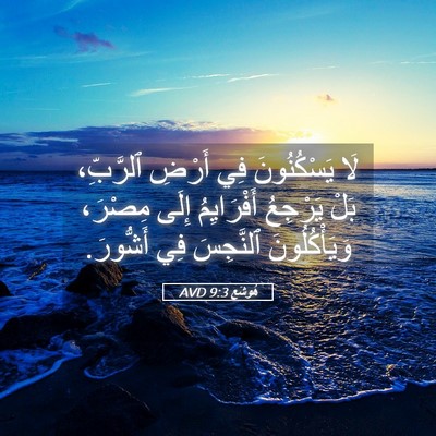 Picture 05 - هُوشَع 9:3 AVD - لَا يَسْكُنُونَ فِي أَرْضِ - Bible Verse Picture