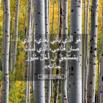 Picture 05 - يوحنَّا 1:27 AVD - هُوَ ٱلَّذِي يَأْتِي - Bible Verse Picture