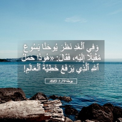 Picture 05 - يوحنَّا 1:29 AVD - وَفِي ٱلْغَدِ نَظَرَ - Bible Verse Picture