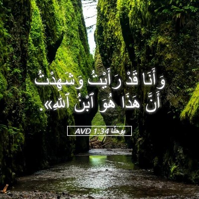 Picture 05 - يوحنَّا 1:34 AVD - وَأَنَا قَدْ رَأَيْتُ - Bible Verse Picture