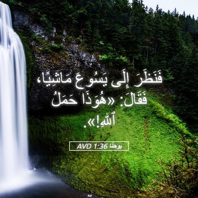 Picture 05 - يوحنَّا 1:36 AVD - فَنَظَرَ إِلَى يَسُوعَ - Bible Verse Picture