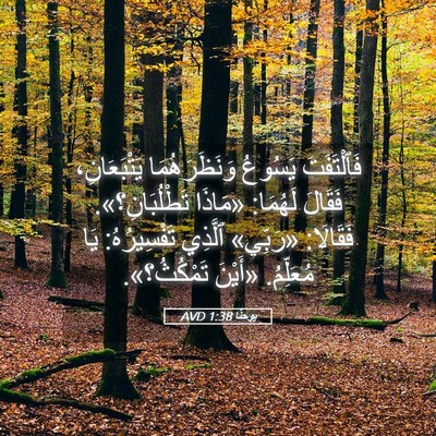 Picture 05 - يوحنَّا 1:38 AVD - فَٱلْتَفَتَ يَسُوعُ - Bible Verse Picture