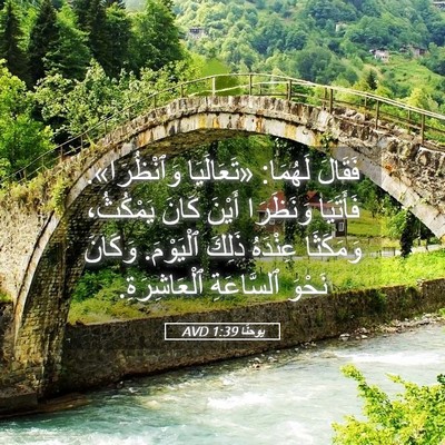 Picture 05 - يوحنَّا 1:39 AVD - فَقَالَ لَهُمَا: - Bible Verse Picture