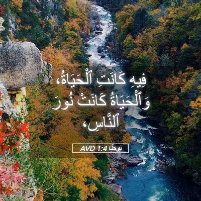 Picture 05 - يوحنَّا 1:4 AVD - فِيهِ كَانَتِ ٱلْحَيَاةُ، - Bible Verse Picture