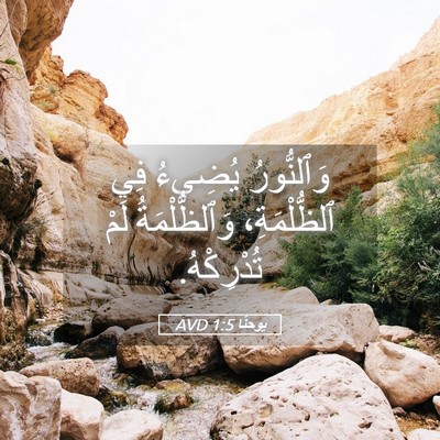 Picture 05 - يوحنَّا 1:5 AVD - وَٱلنُّورُ يُضِيءُ فِي - Bible Verse Picture