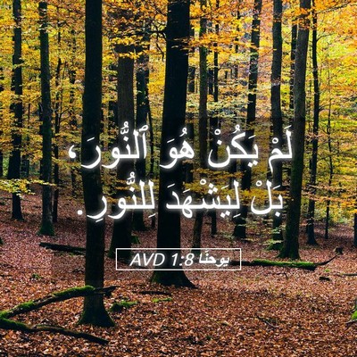 Picture 05 - يوحنَّا 1:8 AVD - لَمْ يَكُنْ هُوَ ٱلنُّورَ، - Bible Verse Picture