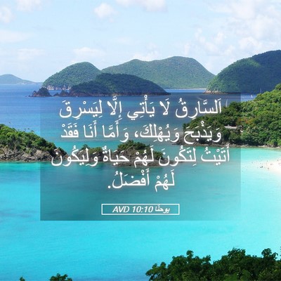 Picture 05 - يوحنَّا 10:10 AVD - اَلسَّارِقُ لَا يَأْتِي - Bible Verse Picture
