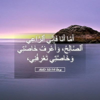 Picture 05 - يوحنَّا 10:14 AVD - أَمَّا أَنَا فَإِنِّي - Bible Verse Picture