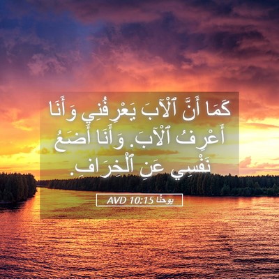 Picture 05 - يوحنَّا 10:15 AVD - كَمَا أَنَّ ٱلْآبَ - Bible Verse Picture