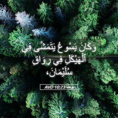 Picture 05 - يوحنَّا 10:23 AVD - وَكَانَ يَسُوعُ - Bible Verse Picture