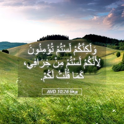 Picture 05 - يوحنَّا 10:26 AVD - وَلَكِنَّكُمْ لَسْتُمْ - Bible Verse Picture