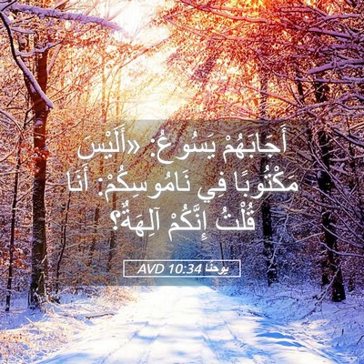 Picture 05 - يوحنَّا 10:34 AVD - أَجَابَهُمْ يَسُوعُ: - Bible Verse Picture