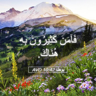 Picture 05 - يوحنَّا 10:42 AVD - فَآمَنَ كَثِيرُونَ بِهِ - Bible Verse Picture