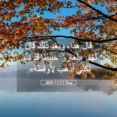 Picture 05 - يوحنَّا 11:11 AVD - قَالَ هَذَا، وَبَعْدَ - Bible Verse Picture