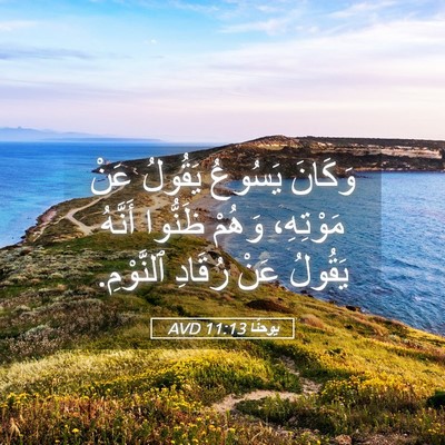 Picture 05 - يوحنَّا 11:13 AVD - وَكَانَ يَسُوعُ يَقُولُ - Bible Verse Picture