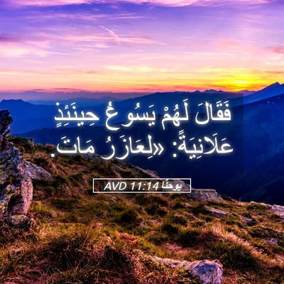 Picture 05 - يوحنَّا 11:14 AVD - فَقَالَ لَهُمْ يَسُوعُ - Bible Verse Picture
