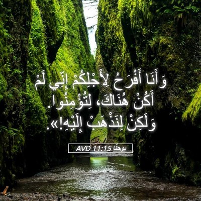 Picture 05 - يوحنَّا 11:15 AVD - وَأَنَا أَفْرَحُ - Bible Verse Picture