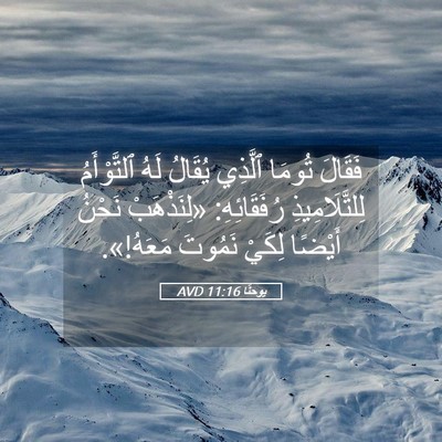 Picture 05 - يوحنَّا 11:16 AVD - فَقَالَ تُومَا ٱلَّذِي - Bible Verse Picture