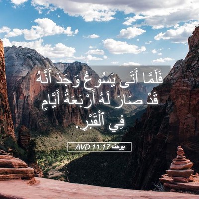Picture 05 - يوحنَّا 11:17 AVD - فَلَمَّا أَتَى يَسُوعُ - Bible Verse Picture