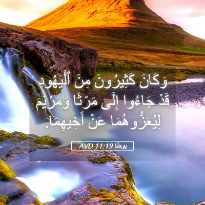 Picture 05 - يوحنَّا 11:19 AVD - وَكَانَ كَثِيرُونَ مِنَ - Bible Verse Picture