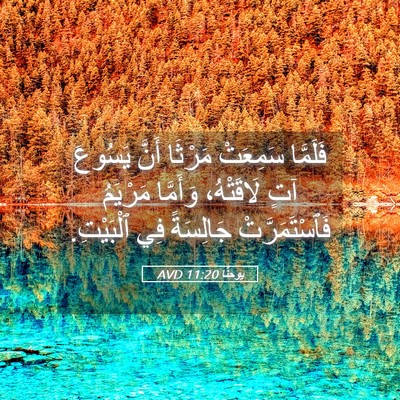 Picture 05 - يوحنَّا 11:20 AVD - فَلَمَّا سَمِعَتْ مَرْثَا - Bible Verse Picture