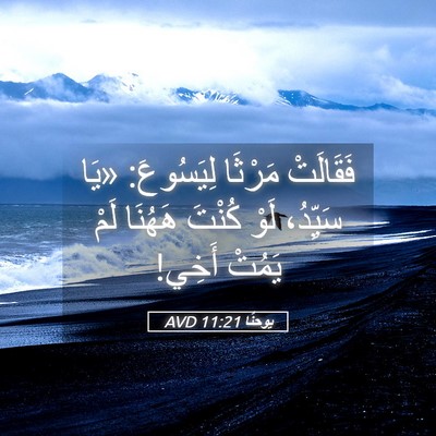 Picture 05 - يوحنَّا 11:21 AVD - فَقَالَتْ مَرْثَا - Bible Verse Picture