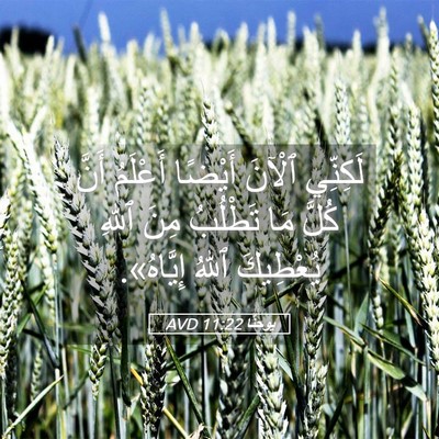 Picture 05 - يوحنَّا 11:22 AVD - لَكِنِّي ٱلْآنَ أَيْضًا - Bible Verse Picture