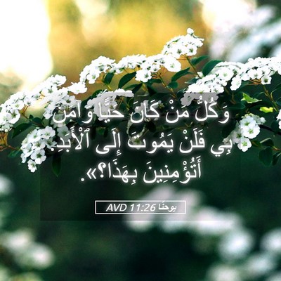 Picture 05 - يوحنَّا 11:26 AVD - وَكُلُّ مَنْ كَانَ حَيًّا - Bible Verse Picture