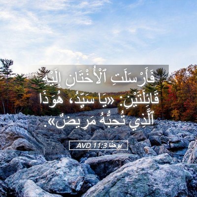 Picture 05 - يوحنَّا 11:3 AVD - فَأَرْسَلَتِ ٱلْأُخْتَانِ - Bible Verse Picture