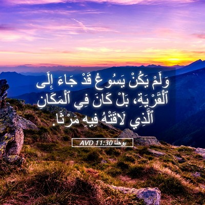 Picture 05 - يوحنَّا 11:30 AVD - وَلَمْ يَكُنْ يَسُوعُ قَدْ - Bible Verse Picture