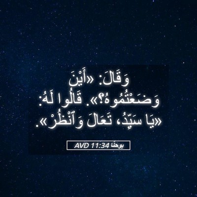 Picture 05 - يوحنَّا 11:34 AVD - وَقَالَ: «أَيْنَ - Bible Verse Picture