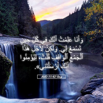 Picture 05 - يوحنَّا 11:42 AVD - وَأَنَا عَلِمْتُ أَنَّكَ - Bible Verse Picture
