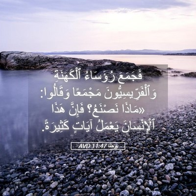 Picture 05 - يوحنَّا 11:47 AVD - فَجَمَعَ رُؤَسَاءُ - Bible Verse Picture