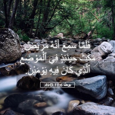Picture 05 - يوحنَّا 11:6 AVD - فَلَمَّا سَمِعَ أَنَّهُ - Bible Verse Picture