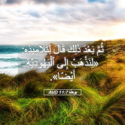 Picture 05 - يوحنَّا 11:7 AVD - ثُمَّ بَعْدَ ذَلِكَ قَالَ - Bible Verse Picture
