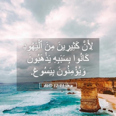 Picture 05 - يوحنَّا 12:11 AVD - لِأَنَّ كَثِيرِينَ مِنَ - Bible Verse Picture