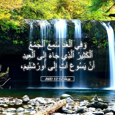 Picture 05 - يوحنَّا 12:12 AVD - وَفِي ٱلْغَدِ سَمِعَ - Bible Verse Picture